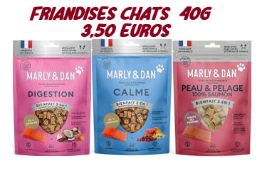 friandises chats